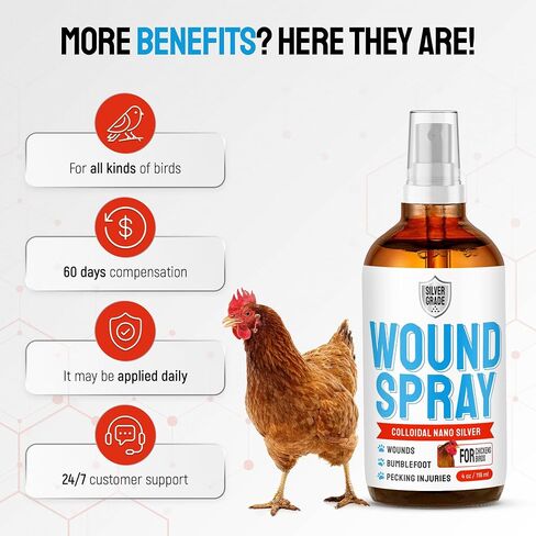 SILVER GRADE Wound Spray for Chicken – Birds & Chicken Antibiotics Alternative to Help with Pecking Sores, Bumblefoot, Cuts – Poultry Spray with Silver – GMOs Free – 4-Oz Bottle in Saudi Arabia