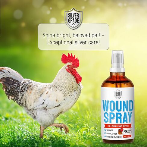 SILVER GRADE Wound Spray for Chicken – Birds & Chicken Antibiotics Alternative to Help with Pecking Sores, Bumblefoot, Cuts – Poultry Spray with Silver – GMOs Free – 4-Oz Bottle in Saudi Arabia