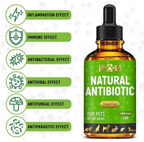 Herbal Pet Antibiotics for Rabbits, Reptiles, Turtles, Guinea Pigs, Fish – Chicken Antibiotics in Liquid for All Birds (Duck, Turkey, Goose) – For UTIs, Allergies, Runny Nose & Digestion – 2-oz Bottle in Saudi Arabia