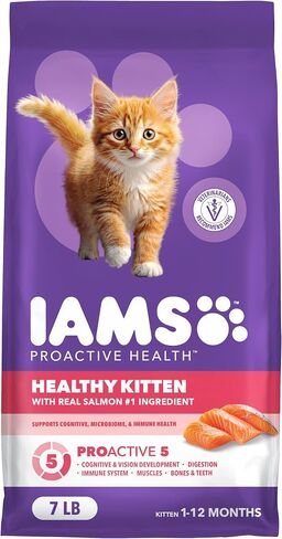 IAMS Proactive Health Healthy Kitten Dry Cat Food, Chicken, 3.5 lb in Kuwait