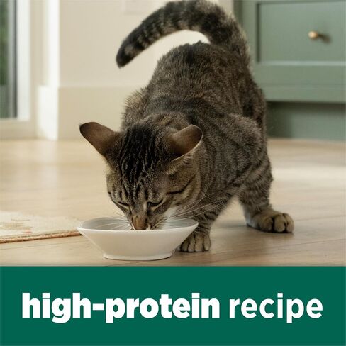 Purina Cat Chow Naturals High Protein Dry Cat Food, 13 lb Bags in Kuwait