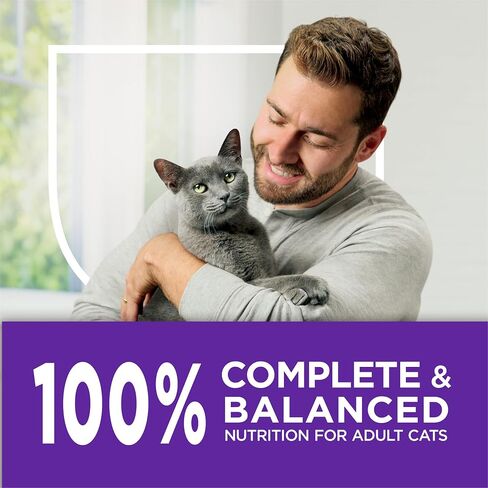 Purina Cat Chow Gentle Sensitive Stomach & Skin Dry Cat Food, 13 lb Bag in Kuwait
