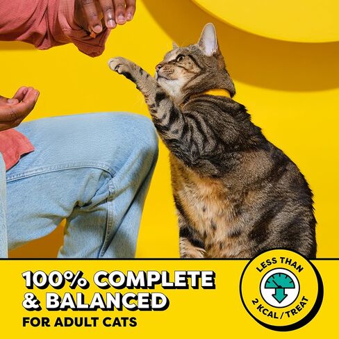 Temptations Classic Crunchy Cat Treats, Blissful Catnip, 16 oz in Kuwait