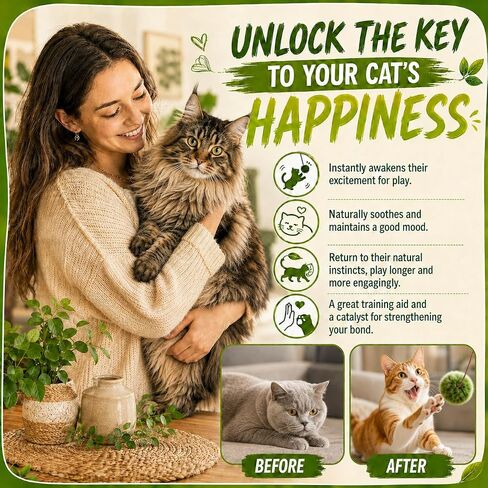 Catnip Spray for Cats – 100% Natural Catnip Spray, Boosts Playfulness & Helps Reduce Stress, Refreshes Toys, Encourages Scratching on Cat Scratchers, Mess-Free Training Spray-2.71 Fl Oz in Kuwait