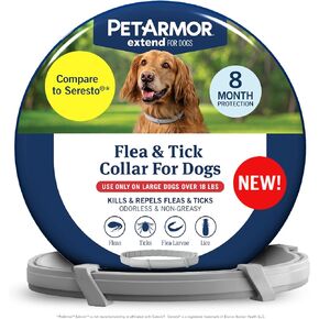 PetArmor Extend Large Dog Flea and Tick Treatment & Prevention, Collar for Large Dogs Above 18 lbs., 8 Months of Protection, Odorless & Non-Greasy, Waterproof, Kills Fleas, Ticks, and Larvae, 1 Count in Saudi Arabia