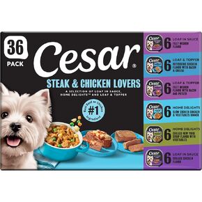Cesar Wet Dog Food, Steak Lovers Variety Pack, 3.5 oz, 36 Count in Saudi Arabia