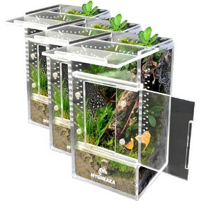 MYGIIKAKA Jumping Spider Enclosure Accessories, Tarantula Spider Box, Bug Cage, Praying Mantis Habitat Enclosure, Snail Insect Terrarium, Caterpillar Habitat (3x3x6 inch) in Kuwait