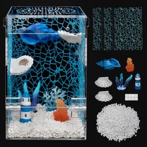 Jumping Spider Enclosure Starter Kit,3 x 3 x 6 in Acrylic Terrarium in Saudi Arabia