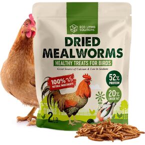 ECO LIVING SOLUTIONS Dried Mealworms - Non-GMO Dried Mealworms for Chickens, Ducks & Wild Birds - High-Protein Chicken Feed & Bird Food (2 lbs) in Kuwait