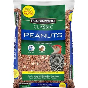 Pennington Select Safflower Seed 15 lb Bag in Kuwait
