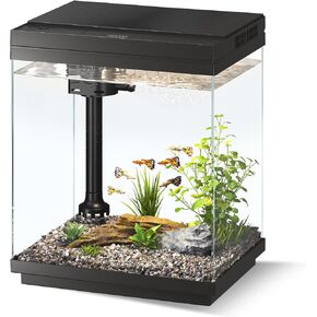 Betta Fish Tank 1.6 Gallon Glass Small Aquarium Starter Kit Black in Saudi Arabia