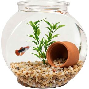 Koller Products 1-Gallon Plastic Oval Fish Bowl, Temporary Fish Tank for Betta Shrimps Snails, Fry, Isolation, Fish Breeding, Classroom Education & Decoration in Kuwait