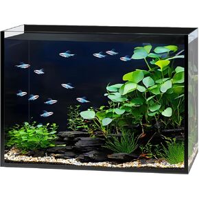 5 Gallon Glass Aquarium Starter Kit, Rimless Fish Tank in Kuwait
