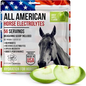Horse Electrolytes Powder, Tasty Equine Hydration, Just Add to Water, Crisp Apple Flavor, 5 Pound Bag, Made in the USA in Kuwait