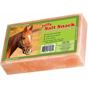 Horsemen's Pride Himalayan Salt Block on Rope for Horses, 4.4 Pounds, SS44 in Saudi Arabia