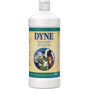 PetAg Dyne High Calorie Liquid Nutritional Supplement for Livestock - 32 oz - Includes Added Vitamins - Excellent for Underweight, Stressed, or Recovering Animals in Kuwait