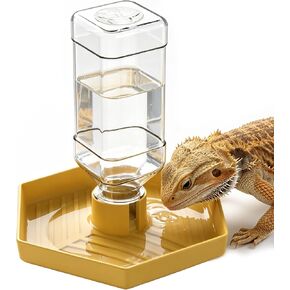 Reptile Water Dispenser Bowl for Bearded Dragon Tortoise in Kuwait