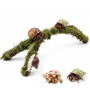 12.2 Inch Moss Vine for Hermit Crabs and Snails, Simulation Moss Rope Climbing Toy, Adjustable Terrarium Decor for Hermit Crab Habitat, Also for Leopard Gecko, Lizards, Frogs, and Small Snakes in Kuwait