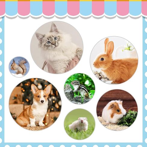 Rabbit Grooming Kit, Rabbit Brush for Shedding with Bunny Nail Clipper, Rabbit Nail Trimmers with Pet Combs for Hamster Guinea Pig Ferret by KALAMANDA(Pink) in Kuwait