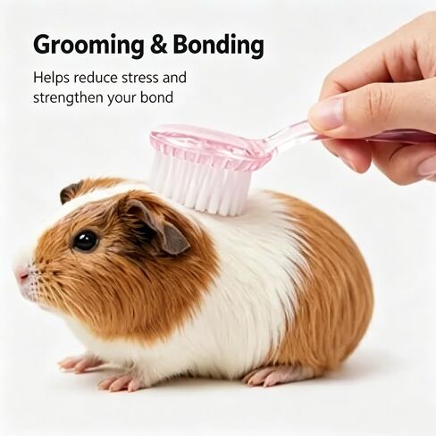 3Pcs Hamster Bath Brush and Comb Soft Cleansing Brush for Guinea Pig, Rats, Chinchilla, Bunny, Turtle Small Animal Grooming Tool Cleaning Supplies in Kuwait