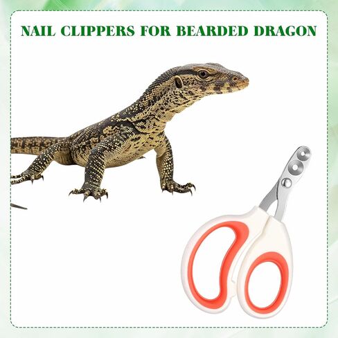 2 Pcs Stainless Steel Bearded Dragon Nail Clippers Professional Lizard Nail File, Reptiles Supplies, Pet Grooming Tool, Turtles Chameleon Trimmer, Precise Angled Edges, for Lguana Hedgehog in Kuwait