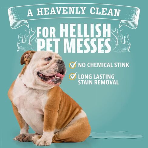 ANGRY ORANGE 1 Gallon Enzyme Cleaner and Deodorizer, Pet Stain and Odor Remover for Dog & Cat Urine and Stains - Orange Rush Scent, Made in USA in Saudi Arabia