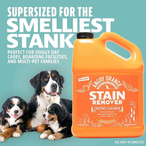 ANGRY ORANGE 1 Gallon Enzyme Cleaner and Deodorizer, Pet Stain and Odor Remover for Dog & Cat Urine and Stains - Orange Rush Scent, Made in USA in Saudi Arabia