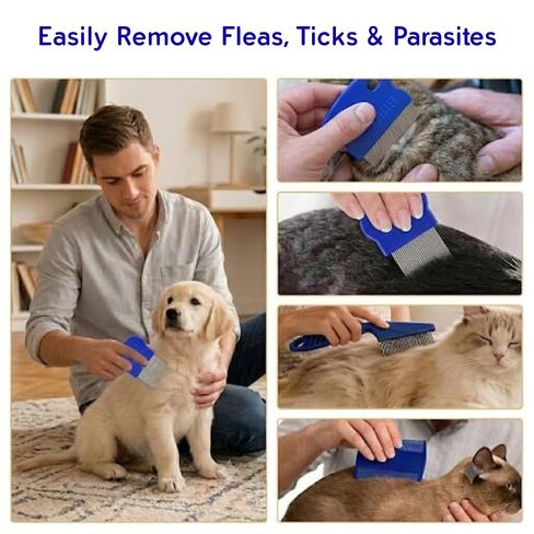 Evollax Flea Lice Comb – 6 Pack Flea Comb for Cats Dogs Remove Fleas Lice Eggs Stainless Steel Cat Dog Grooming Comb | Tear Stain Remover Dog Eye Comb | Dematting Comb for Dogs Ideal for all pet Size in Kuwait