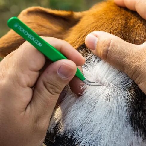 TickCheck Premium Tick Remover Kit - Stainless Steel Tick Remover + Tweezers, Leather Case, and Free Pocket Tick Identification Card (1 Set) in Kuwait