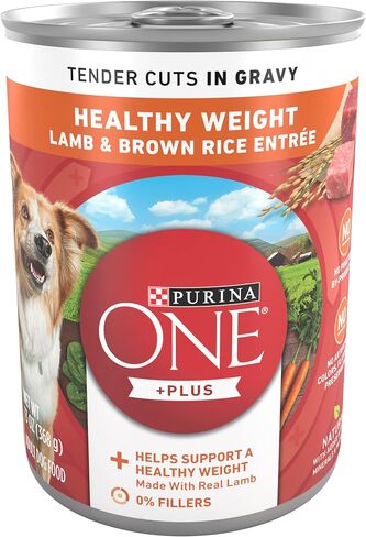 Purina ONE Plus Healthy Weight Wet Dog Food, Tender Cuts, (12) 13oz Cans in Kuwait