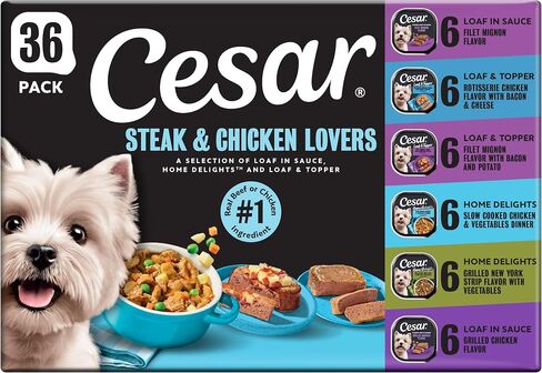 Cesar Wet Dog Food, Steak Lovers Variety Pack, 3.5 oz, 36 Count in Saudi Arabia