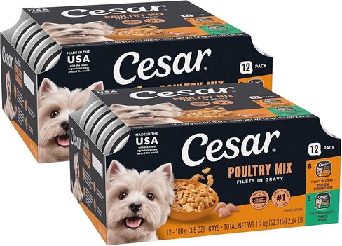 Cesar Filets in Gravy Wet Dog Food, Steak Mix Variety, 3.5 oz, 24 Count in Saudi Arabia