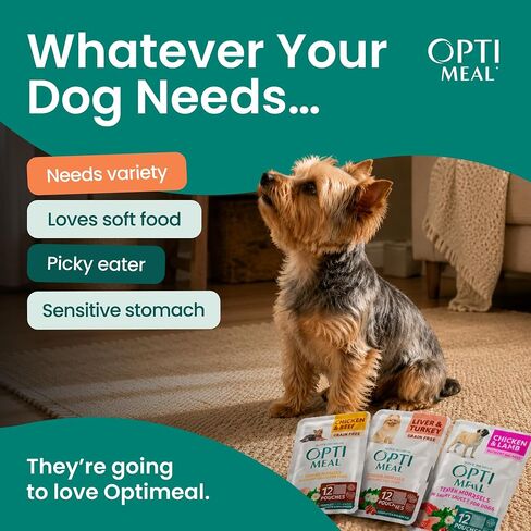 Wet Dog Food Variety Pack for Small Dogs, Grain Free Tender Morsels Pouches in Saudi Arabia