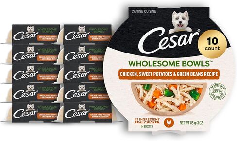 Cesar Wholesome Bowls Adult Wet Dog Food,Beef,Chicken,Purple Potatoes & Carrots,Wet Food for Dogs,3 Oz. Bowls,10 Count (Pack of 2) in Saudi Arabia