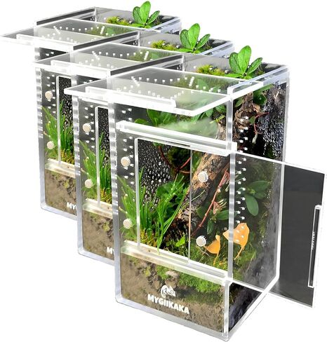 MYGIIKAKA Jumping Spider Enclosure Accessories, Tarantula Spider Box, Bug Cage, Praying Mantis Habitat Enclosure, Snail Insect Terrarium, Caterpillar Habitat (3x3x6 inch) in Kuwait