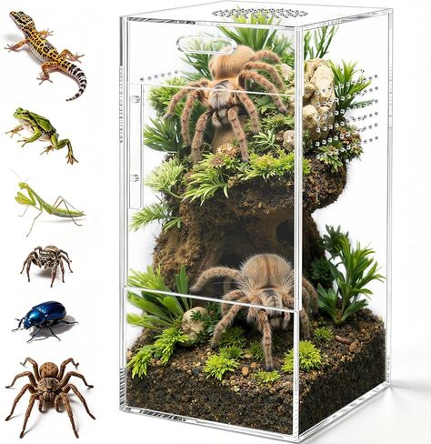 Pre-Assembled Jumping Spider Enclosure, All-Side Ventilation in Saudi Arabia