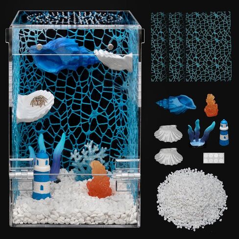 Jumping Spider Enclosure Starter Kit,3 x 3 x 6 in Acrylic Terrarium in Saudi Arabia