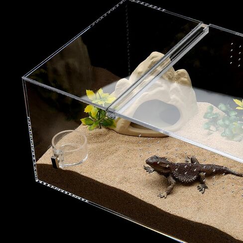 2 Pack Jumping Spider Feeding Dish, Acrylic Tarantula Water Dish Food Bowl in Kuwait