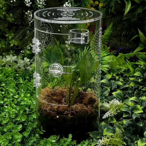 2 Pack Jumping Spider Feeding Dish, Acrylic Tarantula Water Dish Food Bowl in Kuwait