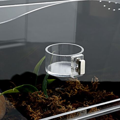 2 Pack Jumping Spider Feeding Dish, Acrylic Tarantula Water Dish Food Bowl in Kuwait