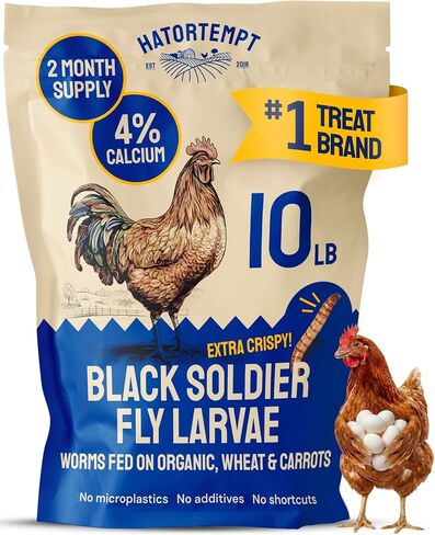 Hatortempt 10lb Black Soldier Fly Larvae for Chickens, Calci Chicken Treats in Saudi Arabia
