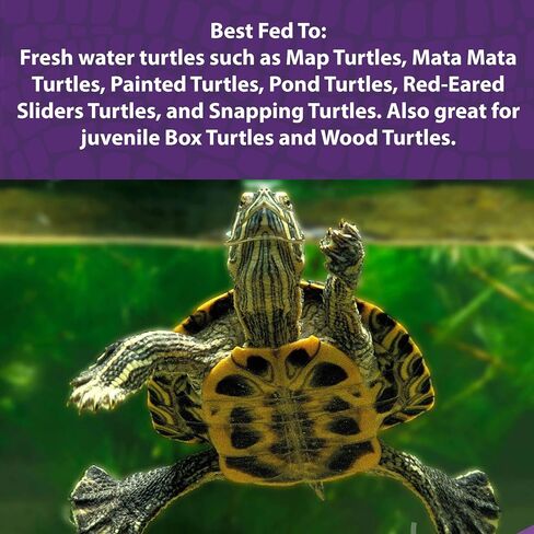 Mazuri | Nutritionally Complete Aquatic Turtle Food | Freshwater Formula - 12 Ounce (12 oz) Bag in Saudi Arabia
