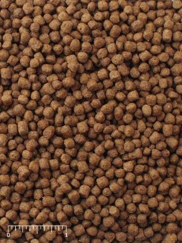 Mazuri | Nutritionally Complete Aquatic Turtle Food | Freshwater Formula - 12 Ounce (12 oz) Bag in Saudi Arabia