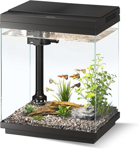 Betta Fish Tank 1.6 Gallon Glass Small Aquarium Starter Kit Black in Saudi Arabia
