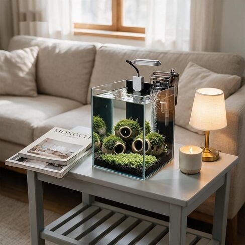 1.5 Gallon Fish Tank Starter Kits, Nano Glass Aquarium with Filter, Led Light for Aquascape DIY, Betta Fish, Gold Fish, Tetra Fish, Shrimp in Kuwait