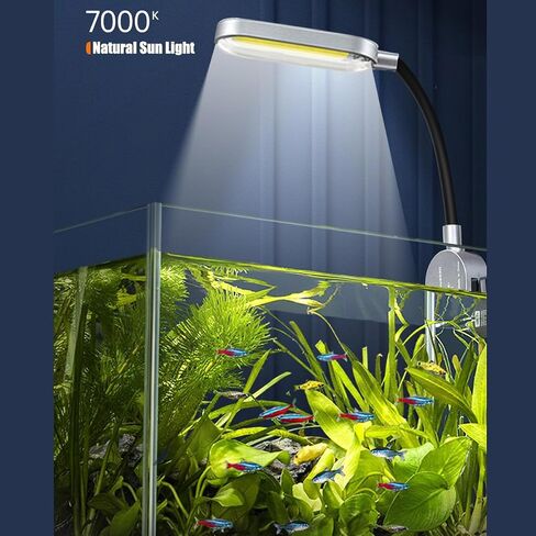 1.5 Gallon Fish Tank Starter Kits, Nano Glass Aquarium with Filter, Led Light for Aquascape DIY, Betta Fish, Gold Fish, Tetra Fish, Shrimp in Kuwait