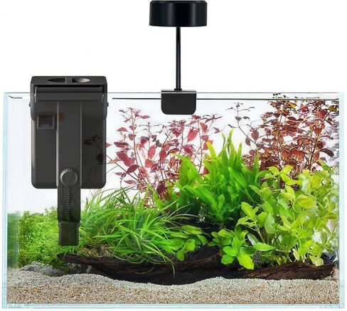 1.5 Gallon Fish Tank Starter Kits, Nano Glass Aquarium with Filter, Led Light for Aquascape DIY, Betta Fish, Gold Fish, Tetra Fish, Shrimp in Kuwait