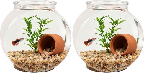 Koller Products 1-Gallon Plastic Oval Fish Bowl, Temporary Fish Tank for Betta Shrimps Snails, Fry, Isolation, Fish Breeding, Classroom Education & Decoration in Kuwait