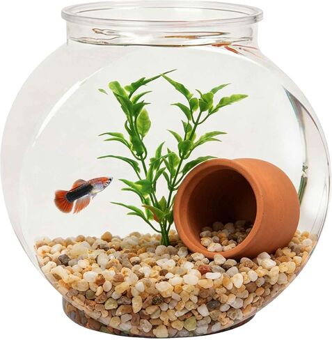 Koller Products 1-Gallon Plastic Oval Fish Bowl, Temporary Fish Tank for Betta Shrimps Snails, Fry, Isolation, Fish Breeding, Classroom Education & Decoration in Kuwait