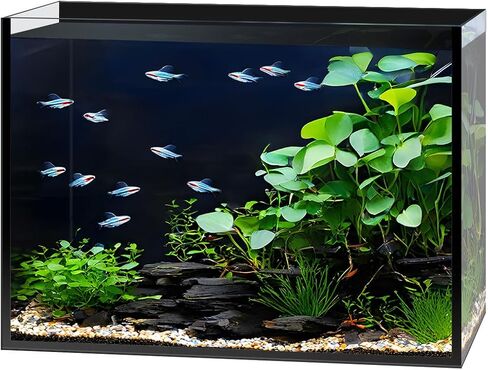 5 Gallon Glass Aquarium Starter Kit, Rimless Fish Tank in Kuwait